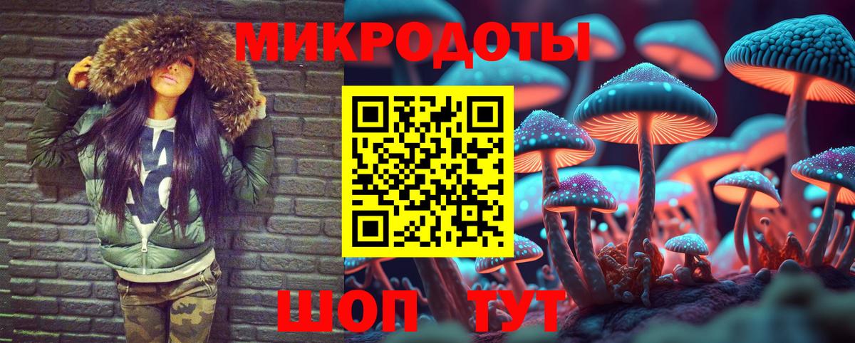 Галлюциногенные грибы Psilocybe  Псилоцибиновые грибы Magic Shrooms  Нефтекумск  Вход с VPN 