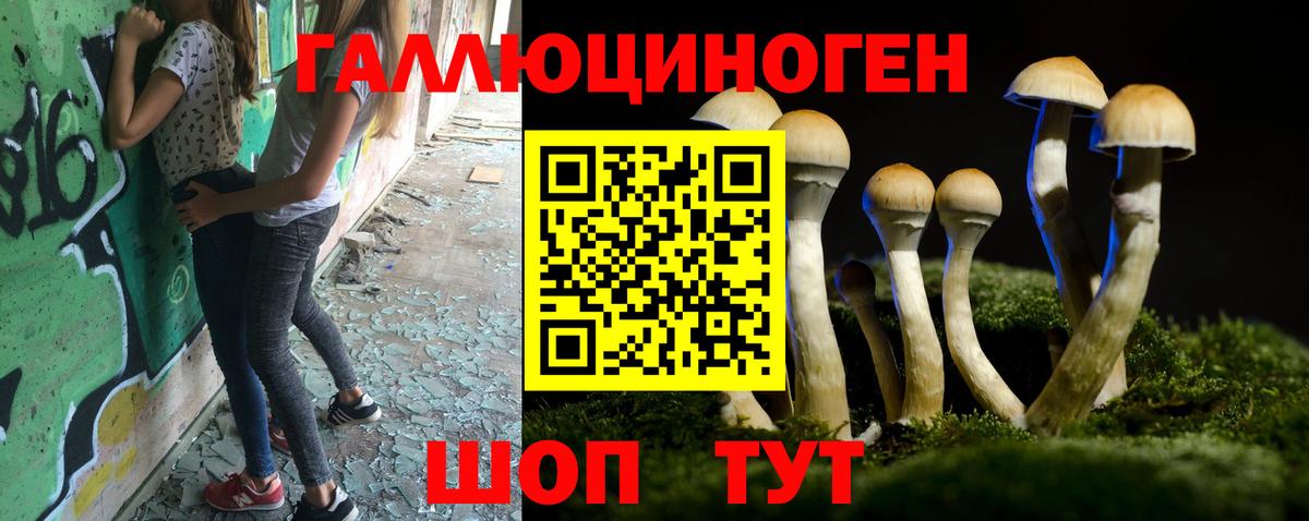 Псилоцибиновые грибы мухоморы Нефтекумск